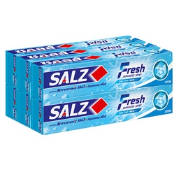 Salz Fresh Toothpaste 90g 1x6 / (Pack)