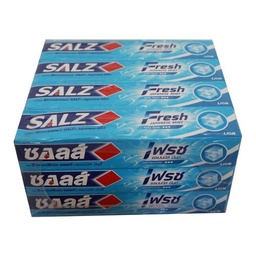 Salz Fresh Toothpaste 40g 1x12 / (Pack)