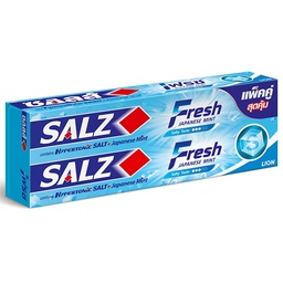 Salz Toothpaste Fresh Japanese Mint Pack 2 140g / (Unit)