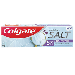 I1 Colgate Toothpaste Salt Gum Protrect 120g / (Unit)